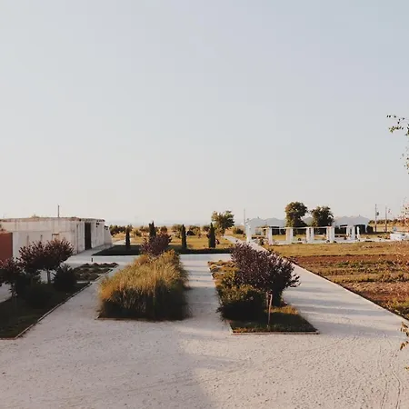 Masseria Fontana Di Vite Hotel 4*