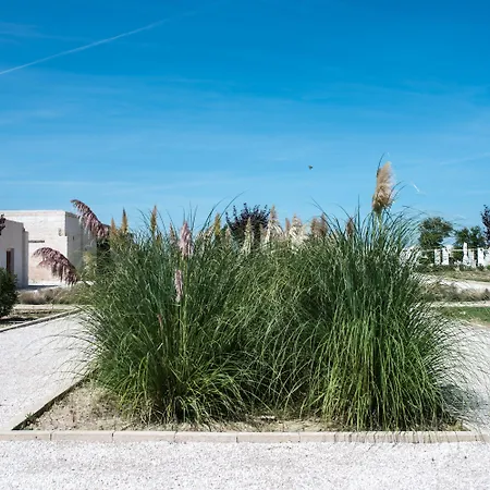 Masseria Fontana Di Vite 4* マテーラ