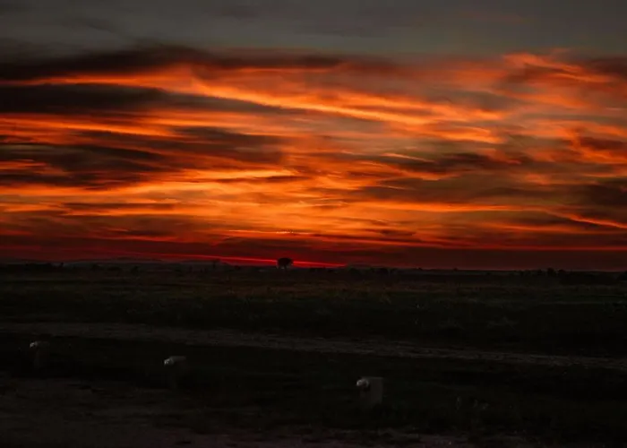 Masseria Fontana Di Vite Matera